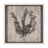 Wood Grain Sea Plant I by Mercana Studio a Hand Embellished Textured Framed Art Print from Mercana - Luna Furniture