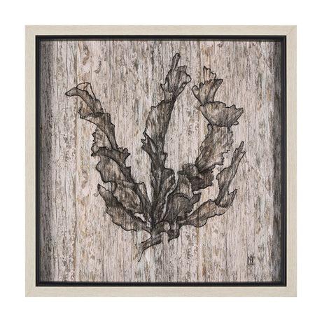 Wood Grain Sea Plant I by Mercana Studio a Hand Embellished Textured Framed Art Print from Mercana - Luna Furniture