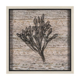 Wood Grain Sea Plant II by Mercana Studio a Hand Embellished Textured Framed Art Print from Mercana - Luna Furniture
