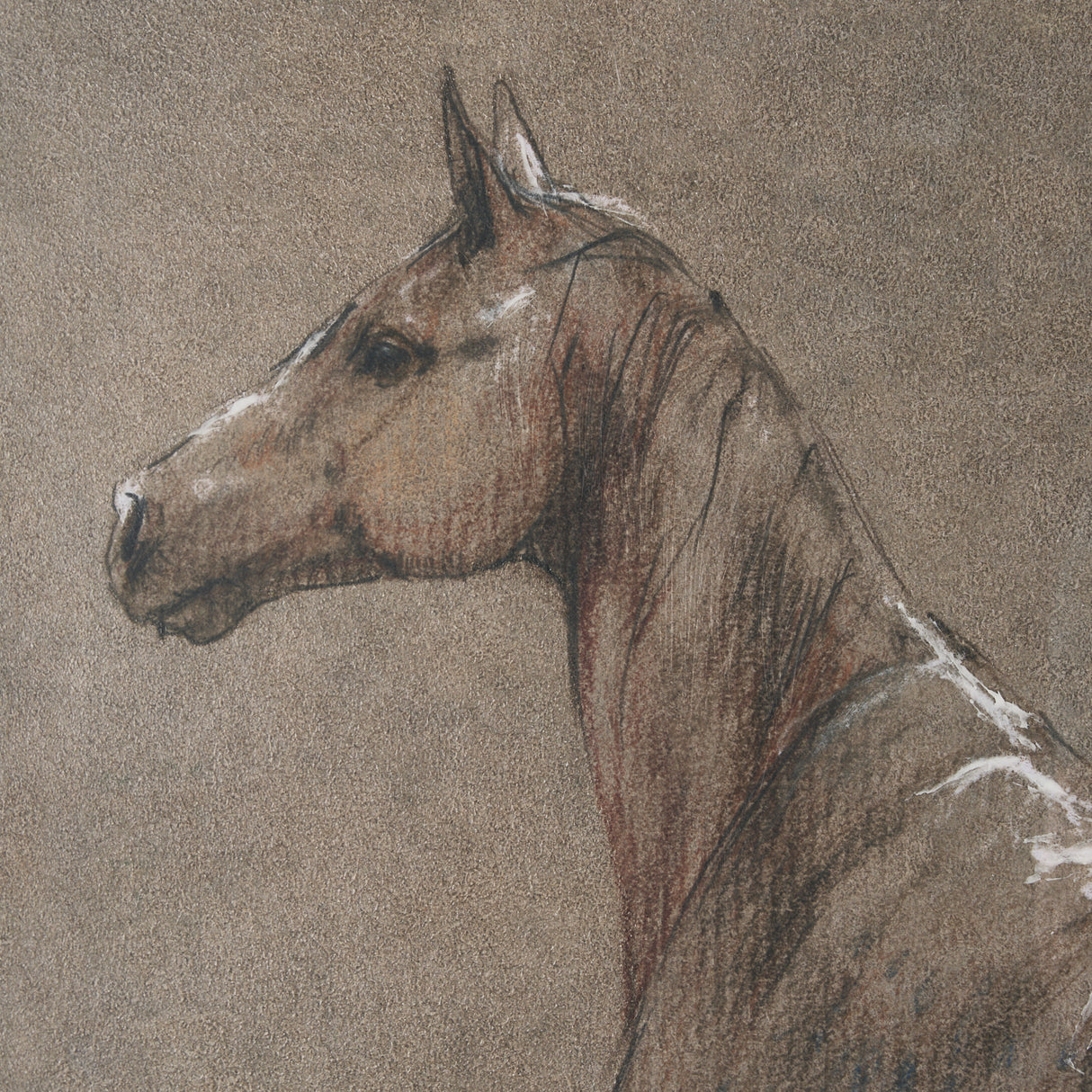 Buckskin Blanket by Mercana Studio a Hand Embellished Textured Framed Art Print from Mercana - Luna Furniture