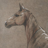 Buckskin Blanket by Mercana Studio a Hand Embellished Textured Framed Art Print from Mercana - Luna Furniture
