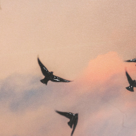 Evening Flight by Mercana Studio a Hand Embellished Textured Framed Photo Art Print Matted under Gla from Mercana - Luna Furniture
