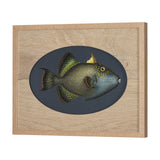 Pseudobalistes Fuscus by Mercana Studio Hand Embellished Textured Framed Art Print Matted under Glas from Mercana - Luna Furniture