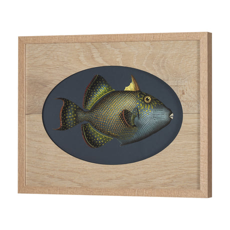Pseudobalistes Fuscus by Mercana Studio Hand Embellished Textured Framed Art Print Matted under Glas from Mercana - Luna Furniture