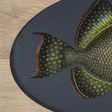 Pseudobalistes Fuscus by Mercana Studio Hand Embellished Textured Framed Art Print Matted under Glas from Mercana - Luna Furniture