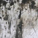Winter Day I by Mercana Studio a Hand Embellished Textured Framed Art Print from Mercana - Luna Furniture