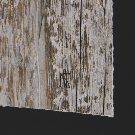 Wood Grain Fish IV by Mercana Studio a Hand Embellished Textured Framed Art Print Matted under Glass from Mercana - Luna Furniture