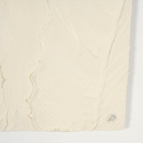 Leaf Relief I by Studio M a handmade Original Framed Artwork under Glass from Mercana - Luna Furniture