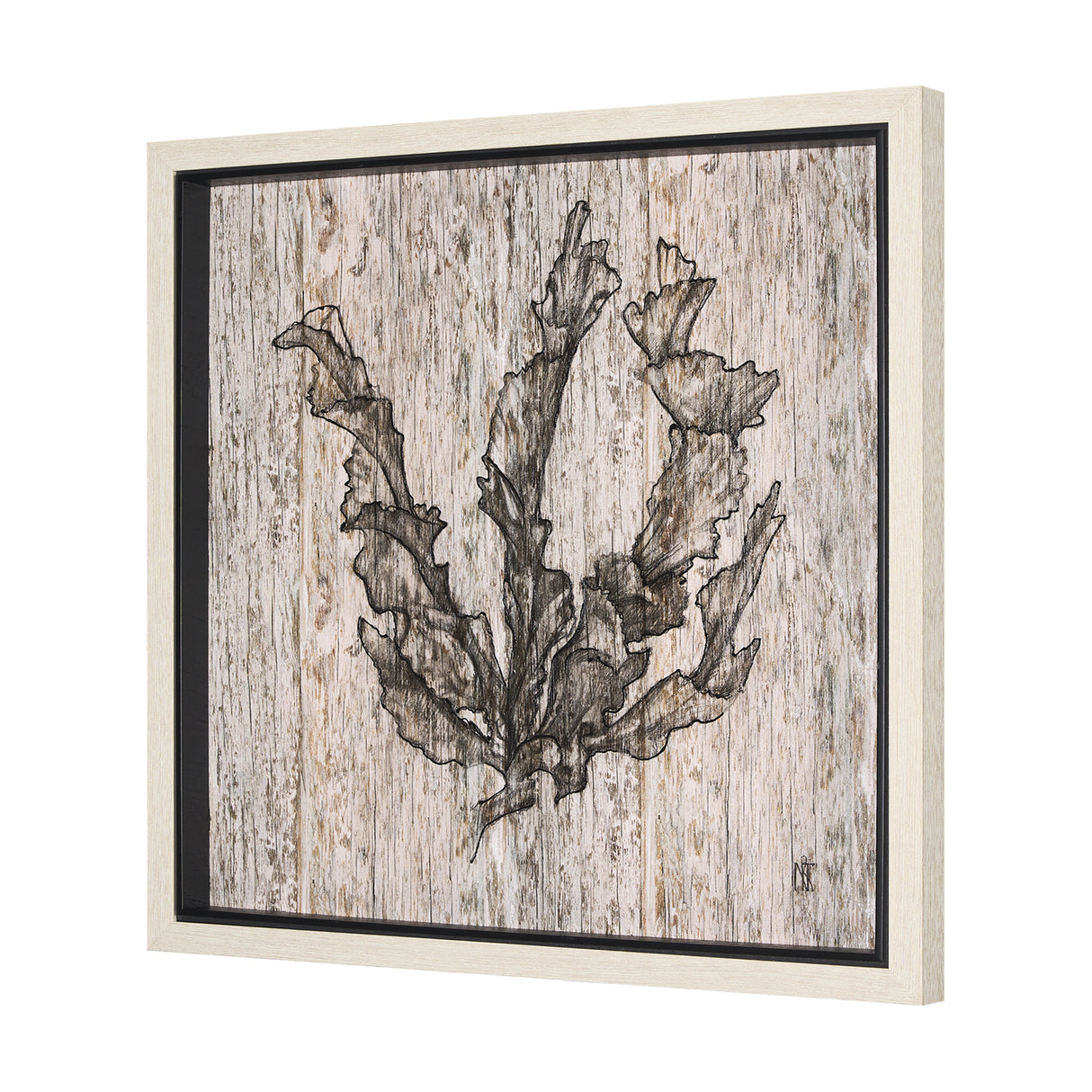Wood Grain Sea Plant I by Mercana Studio a Hand Embellished Textured Framed Art Print from Mercana - Luna Furniture