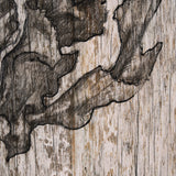 Wood Grain Sea Plant I by Mercana Studio a Hand Embellished Textured Framed Art Print from Mercana - Luna Furniture