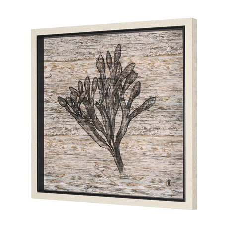 Wood Grain Sea Plant II by Mercana Studio a Hand Embellished Textured Framed Art Print from Mercana - Luna Furniture