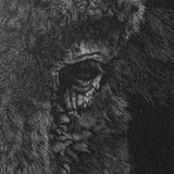Custom Black Glimpse I by Mercana Studio Hand Embellished Framed Photo Art Print Matted under Glass from Mercana - Luna Furniture