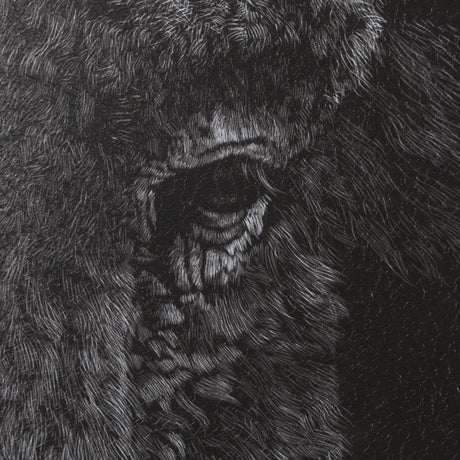 Custom Black Glimpse I by Mercana Studio Hand Embellished Framed Photo Art Print Matted under Glass from Mercana - Luna Furniture