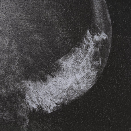 Custom Black Glimpse I by Mercana Studio Hand Embellished Framed Photo Art Print Matted under Glass from Mercana - Luna Furniture