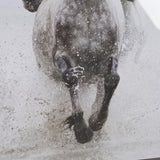 Determination by Irene Suchoki a Framed Photo Art Print Matted under Glass from Mercana - Luna Furniture