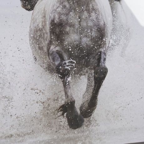 Determination by Irene Suchoki a Framed Photo Art Print Matted under Glass from Mercana - Luna Furniture