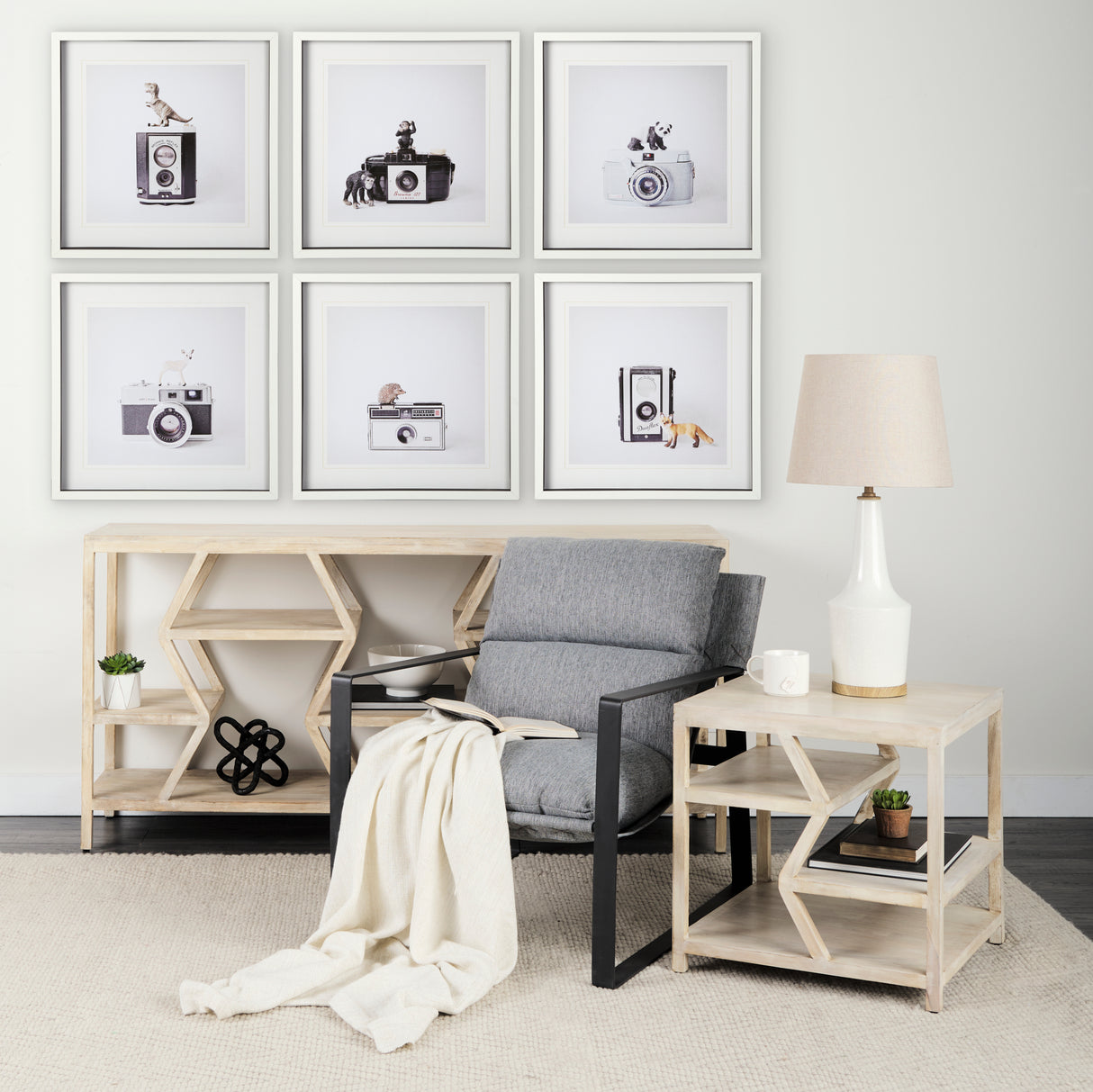 T-rex & Vintage Camera by Susannah Tucker Photography a Framed Photo Art Print Matted under Glass from Mercana - Luna Furniture