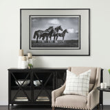 Focused by Mercana Studio a Framed Photo Art Print Matted under Glass from Mercana - Luna Furniture