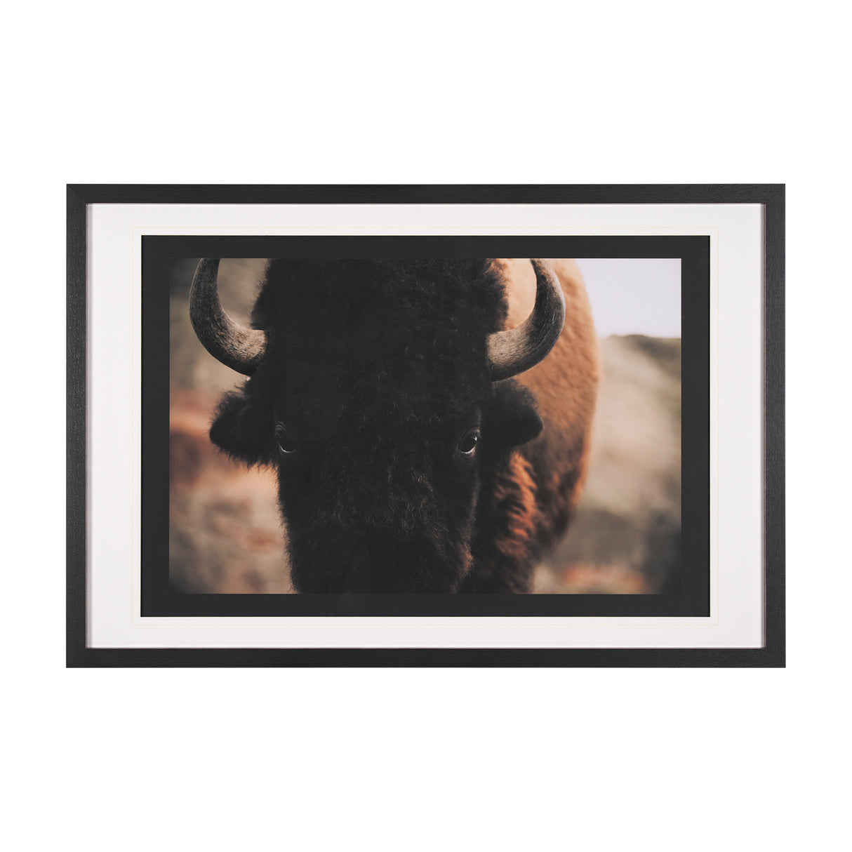 Stare Down by Chad Mackay a Hand Embelished Textured Framed Photo Art Print Matted under Glass from Mercana - Luna Furniture