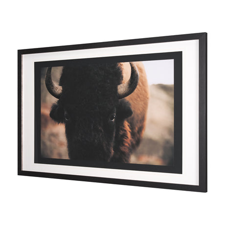 Stare Down by Chad Mackay a Hand Embelished Textured Framed Photo Art Print Matted under Glass from Mercana - Luna Furniture