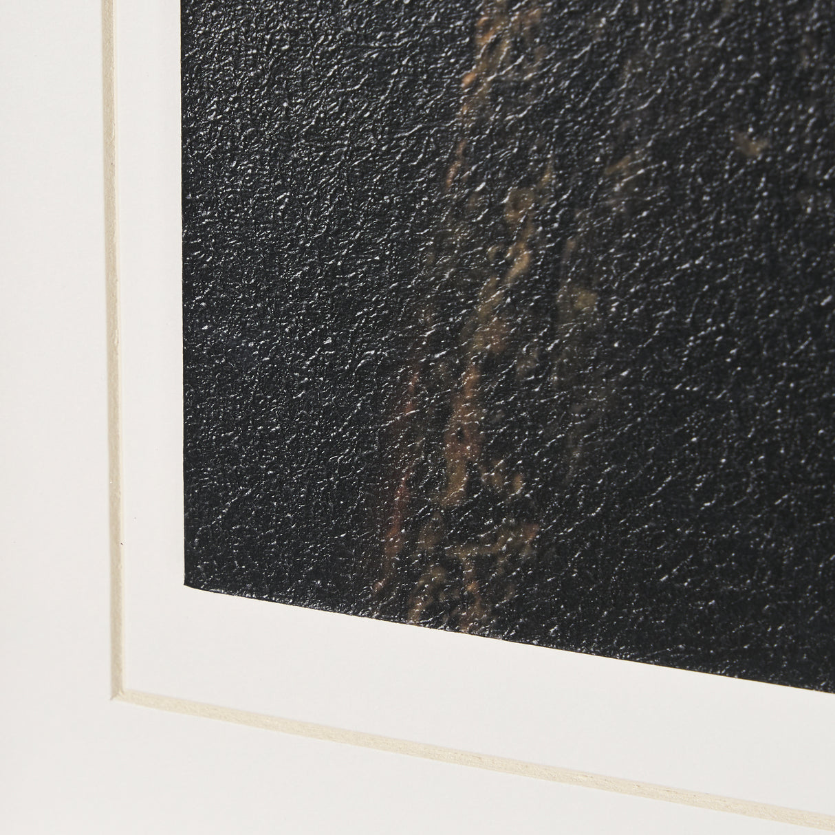 Triplets by Xavier Ortega a Framed Photo Art Print Matted under Glass from Mercana - Luna Furniture