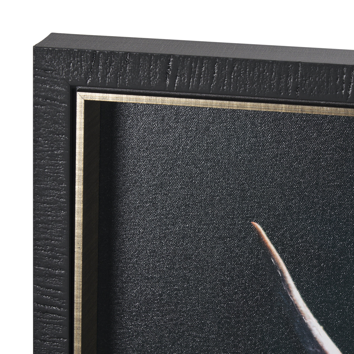 Fozzie by Chad Mackay a Hand Embellished Textured Framed Photo Art Print from Mercana - Luna Furniture