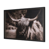 Highland Stare by Chad Mackay a Hand Embellished Textured Framed Photo Art Print from Mercana - Luna Furniture