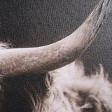 Highland Stare by Chad Mackay a Hand Embellished Textured Framed Photo Art Print from Mercana - Luna Furniture