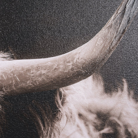 Highland Stare by Chad Mackay a Hand Embellished Textured Framed Photo Art Print from Mercana - Luna Furniture