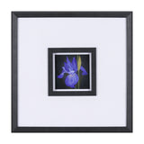 Flower Portrait IV by Mercana Studio a Hand Embellished Textured Framed Art Print Matted under Glass from Mercana - Luna Furniture