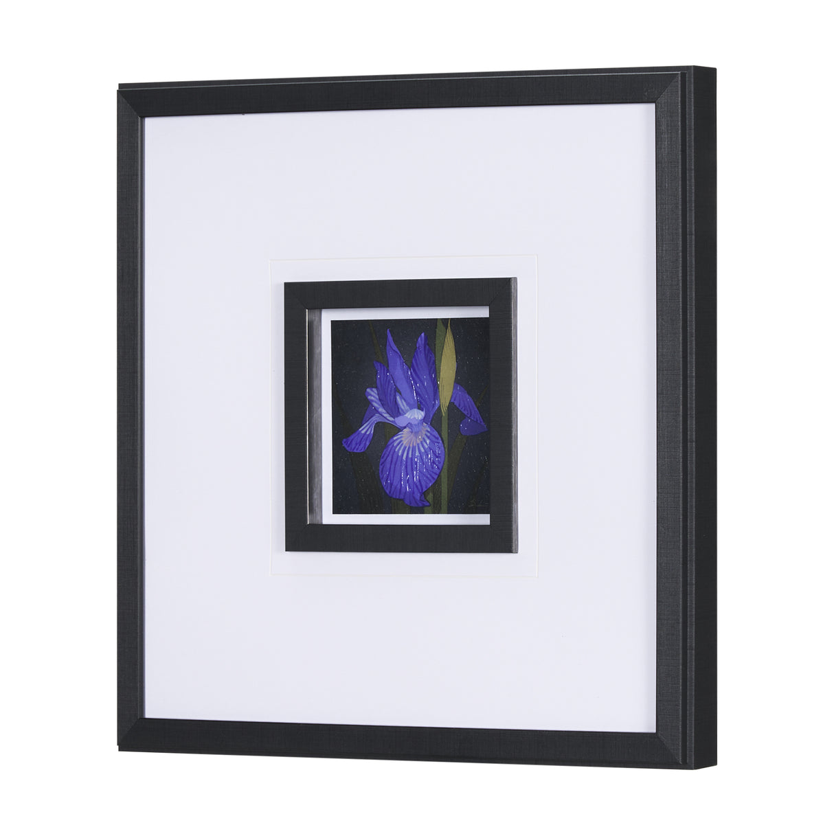 Flower Portrait IV by Mercana Studio a Hand Embellished Textured Framed Art Print Matted under Glass from Mercana - Luna Furniture