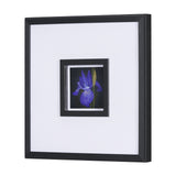 Flower Portrait IV by Mercana Studio a Hand Embellished Textured Framed Art Print Matted under Glass from Mercana - Luna Furniture