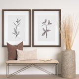 Olive Branch II by Gabrielle a Framed Art Print Matted under Glass from Mercana - Luna Furniture