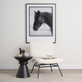 Nora Cream Fabric w/ Matte Black Metal Legs Accent Chair from Mercana - Luna Furniture