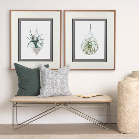 Air Plant 3 by Harvey, Brenna a Framed Art Print Matted under Glass from Mercana - Luna Furniture