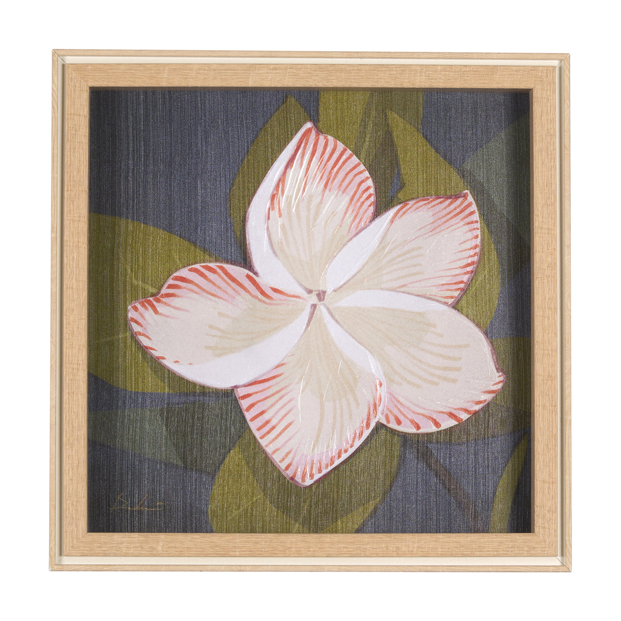 Flower Portrait III (FRANGIPANI) by Mercana Studio a Hand Embellished Textured Framed Art Print from Mercana - Luna Furniture