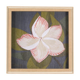 Flower Portrait III (FRANGIPANI) by Mercana Studio a Hand Embellished Textured Framed Art Print from Mercana - Luna Furniture