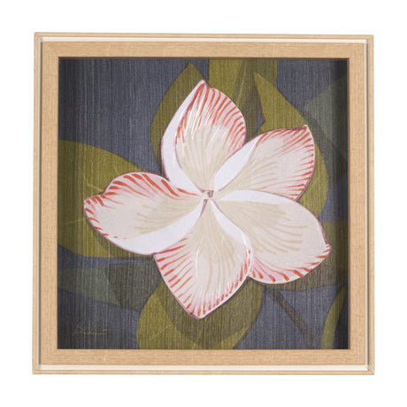 Flower Portrait III (FRANGIPANI) by Mercana Studio a Hand Embellished Textured Framed Art Print from Mercana - Luna Furniture