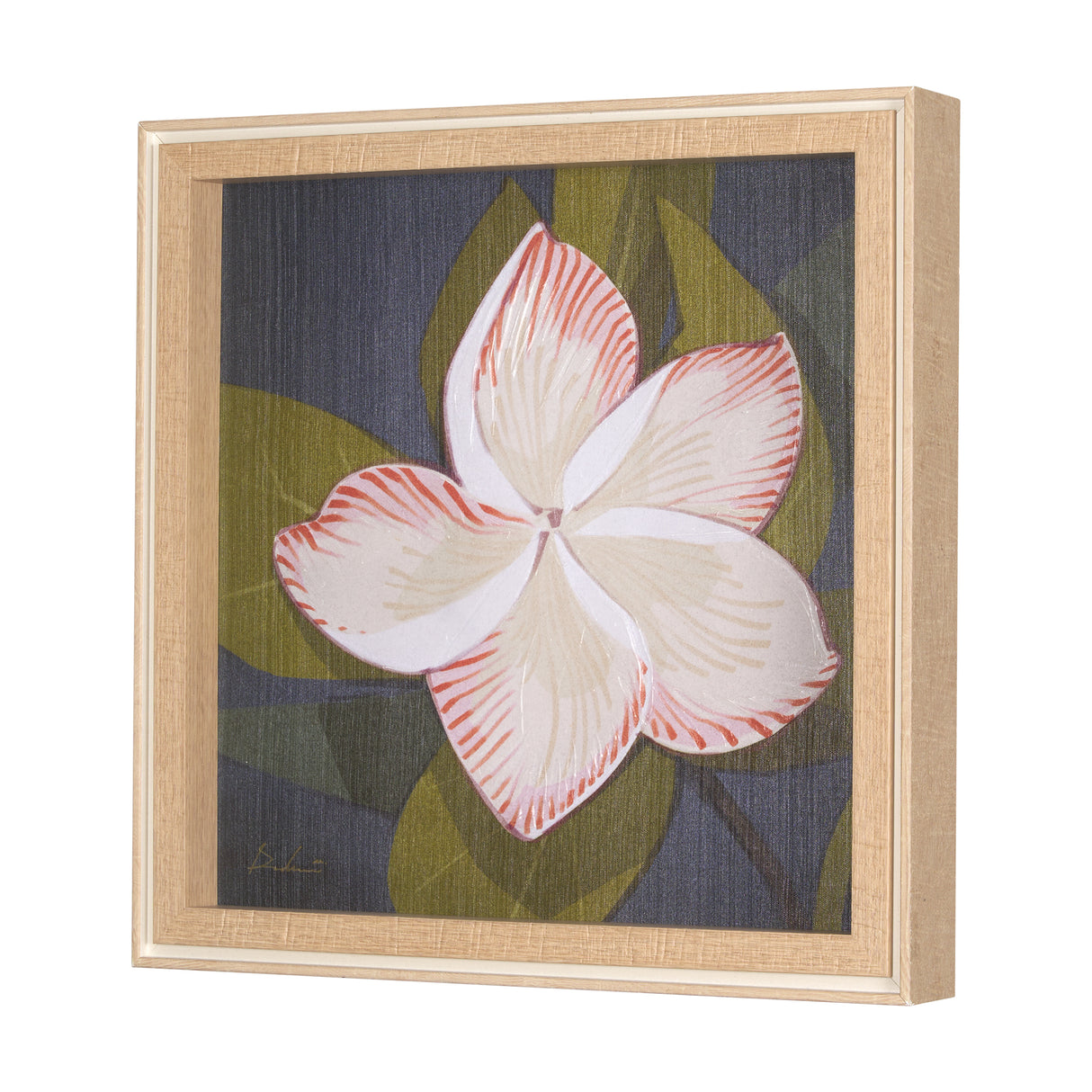 Flower Portrait III (FRANGIPANI) by Mercana Studio a Hand Embellished Textured Framed Art Print from Mercana - Luna Furniture