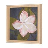 Flower Portrait III (FRANGIPANI) by Mercana Studio a Hand Embellished Textured Framed Art Print from Mercana - Luna Furniture