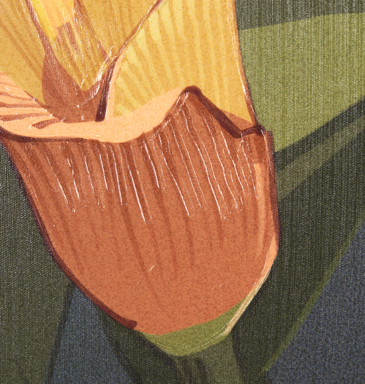 Flower Portrait VIII (CALLA LILY) by Mercana Studio a Hand Embellished Textured Framed Art Print from Mercana - Luna Furniture