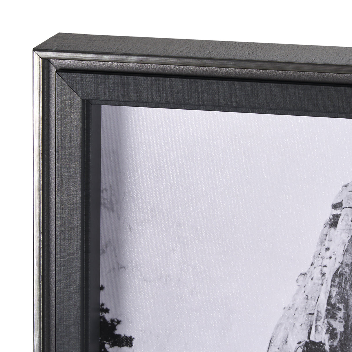 Cathedral Rock by Carleton E Watkins a Hand Embellished Textured Framed Photo Art Print from Mercana - Luna Furniture