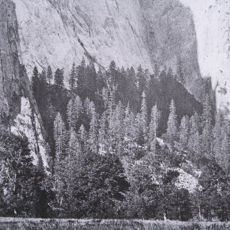 Cathedral Rock by Carleton E Watkins a Hand Embellished Textured Framed Photo Art Print from Mercana - Luna Furniture