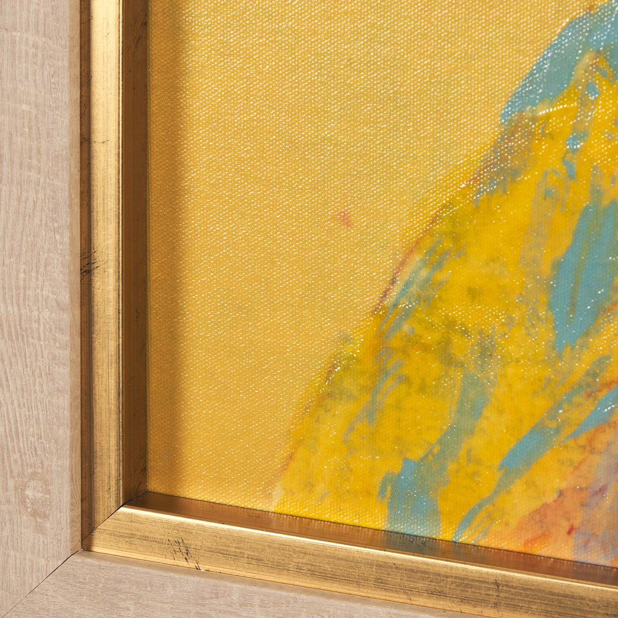 Bright Birds I by Roy Woodland a Hand Embellished Textured Framed Art Print from Mercana - Luna Furniture