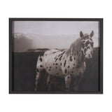 Spotted Solo Horse by Nathan Kane a Hand Embelished Textured Framed Photo Art Print from Mercana - Luna Furniture