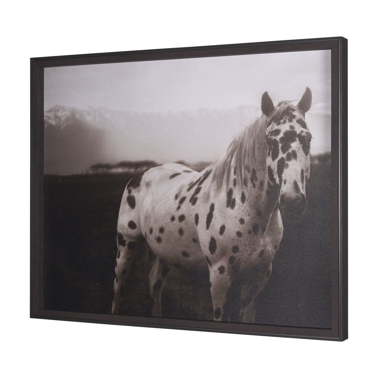 Spotted Solo Horse by Nathan Kane a Hand Embelished Textured Framed Photo Art Print from Mercana - Luna Furniture