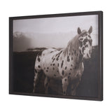 Spotted Solo Horse by Nathan Kane a Hand Embelished Textured Framed Photo Art Print from Mercana - Luna Furniture