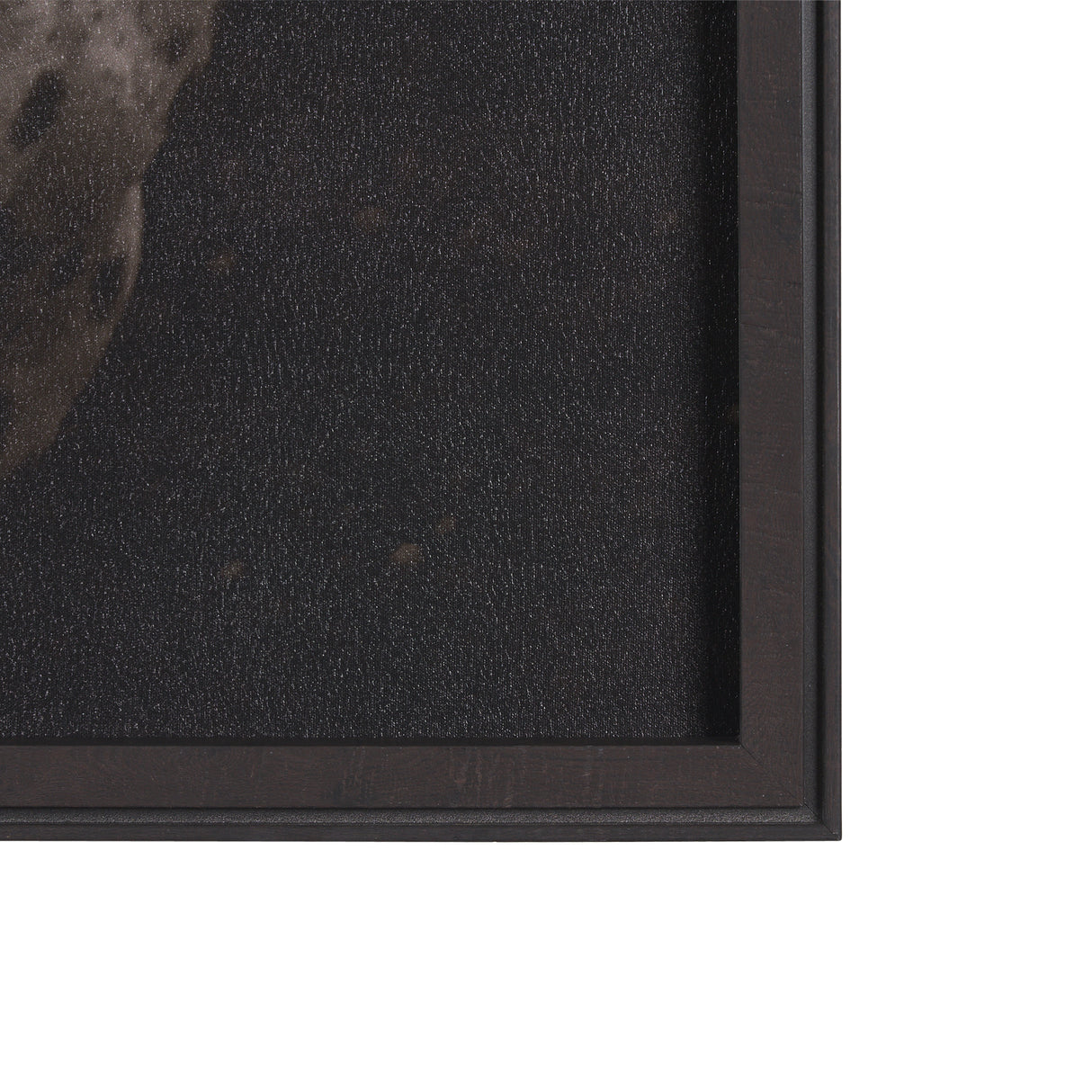 Spotted Solo Horse by Nathan Kane a Hand Embelished Textured Framed Photo Art Print from Mercana - Luna Furniture