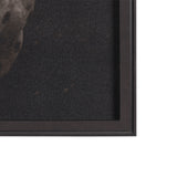 Spotted Solo Horse by Nathan Kane a Hand Embelished Textured Framed Photo Art Print from Mercana - Luna Furniture