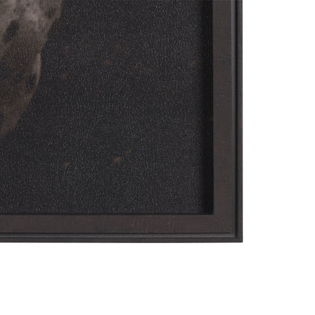 Spotted Solo Horse by Nathan Kane a Hand Embelished Textured Framed Photo Art Print from Mercana - Luna Furniture